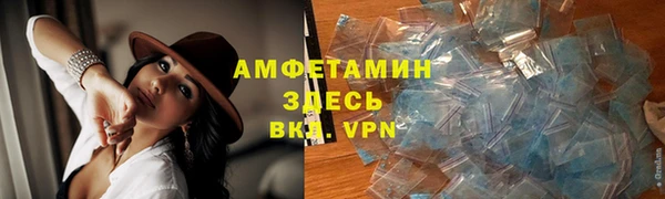 ГАЛЛЮЦИНОГЕННЫЕ ГРИБЫ Дмитриев