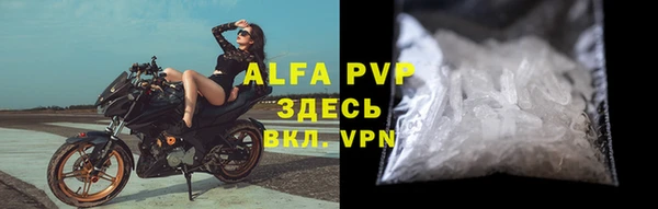 ГАЛЛЮЦИНОГЕННЫЕ ГРИБЫ Дмитриев