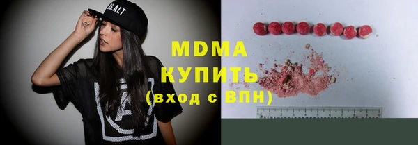 ГАЛЛЮЦИНОГЕННЫЕ ГРИБЫ Дмитриев