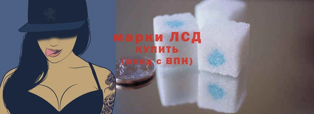 трава Дмитров