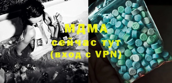 ГАЛЛЮЦИНОГЕННЫЕ ГРИБЫ Дмитриев