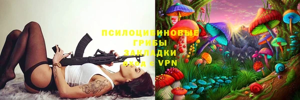 ECSTASY Дмитровск