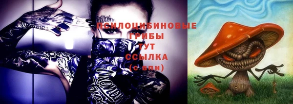 ГАЛЛЮЦИНОГЕННЫЕ ГРИБЫ Дмитриев