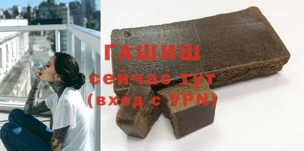 ГАЛЛЮЦИНОГЕННЫЕ ГРИБЫ Дмитриев