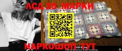 СК Бийск