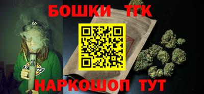 СК Бийск