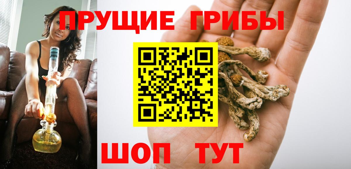 Галлюциногенные грибы Psilocybine cubensis  Псилоцибиновые грибы мухоморы  Вход с VPN  наркошоп  Зеленодольск 